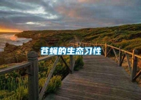 苍蝇的生态习性